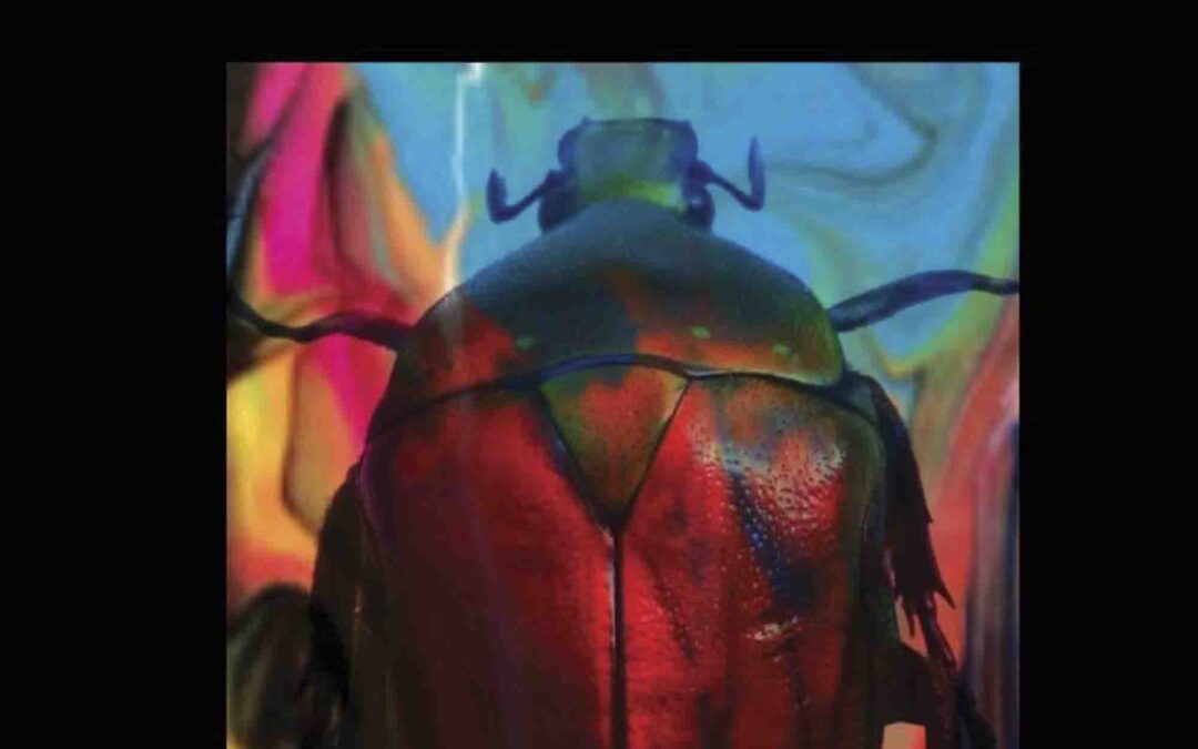 METAMORPHOSIS (Wisehouse Classics Edition)