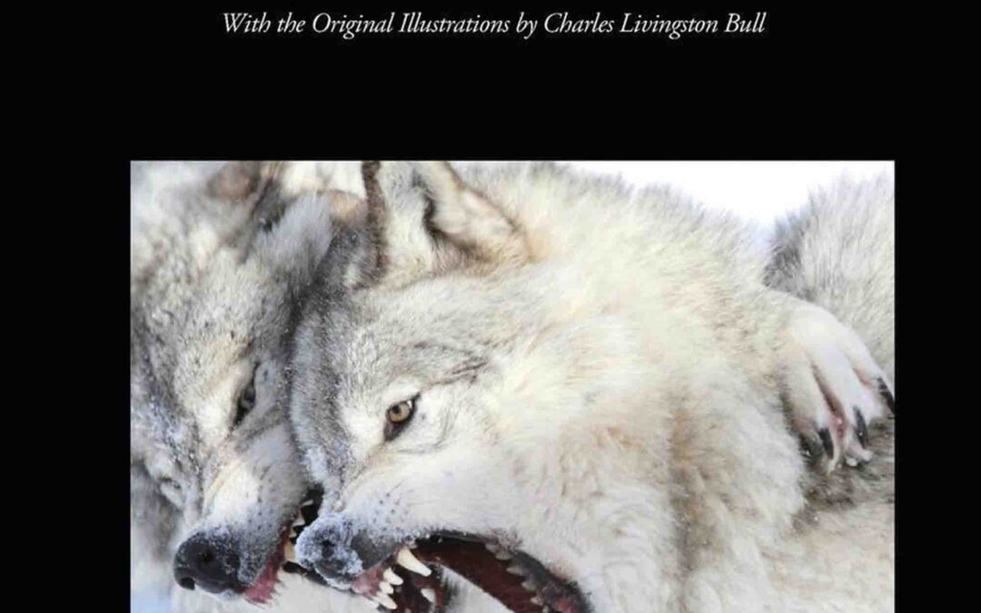 White Fang (Wisehouse Classics – with original illustrations)